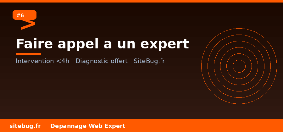 Faire appel a un expert pour dépanner son site web